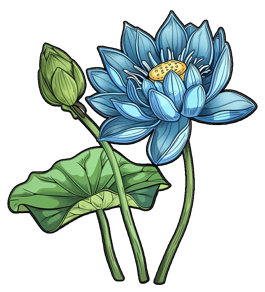 Illustration d'une plante de Lotus Bleu, composant des mélanges de plantes à fumer comme substitut au tabac de Substy.